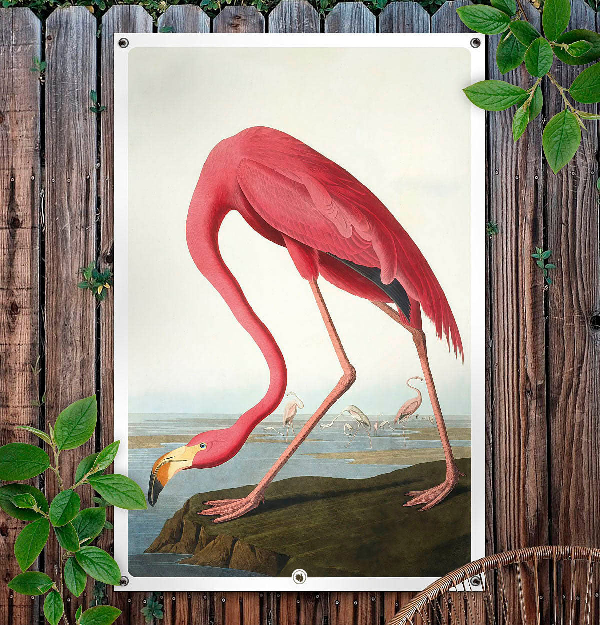 HIP ORGNL American Flamingo Garden Tuinposter