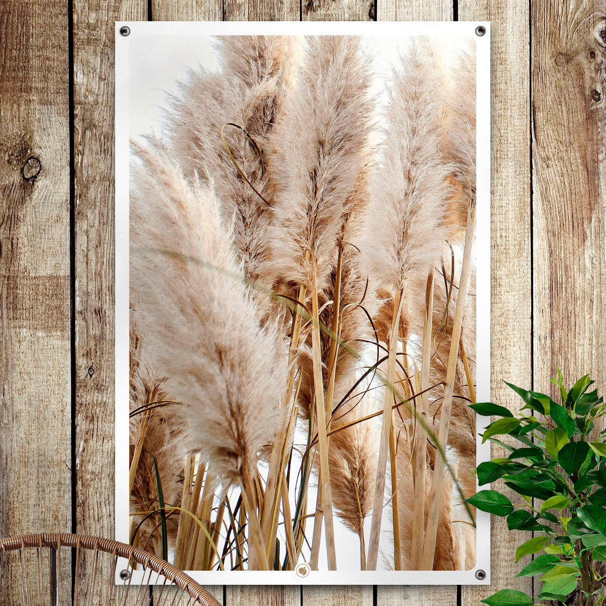 HIP ORGNL Pampas Grass Plumes Garden