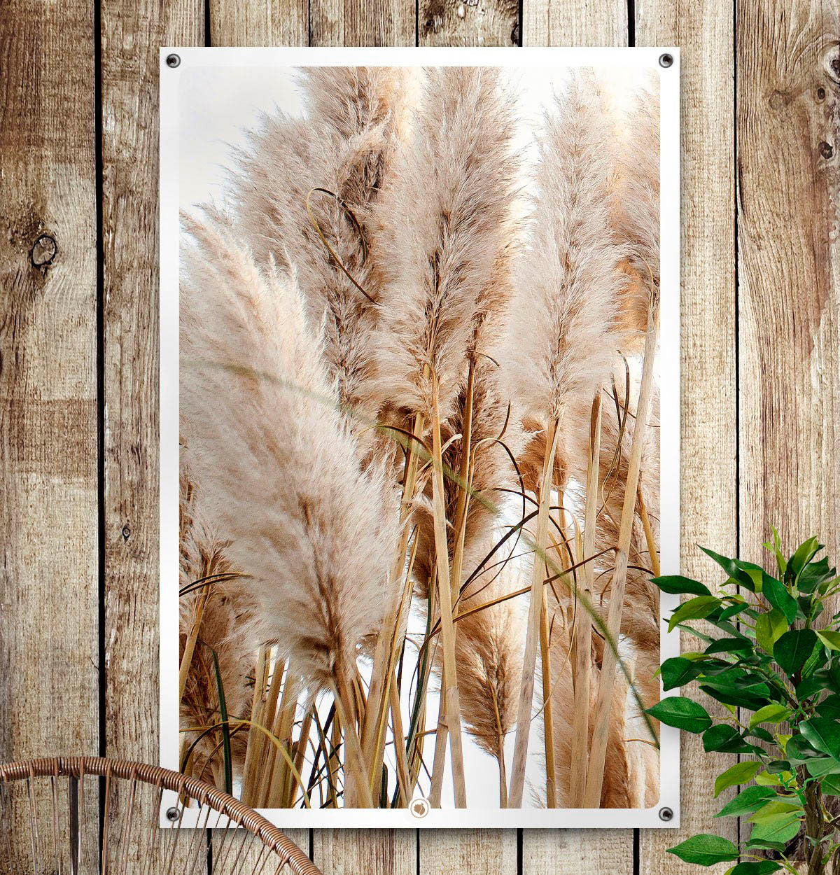 HIP ORGNL Pampas Grass Plumes Garden