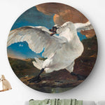 HIP ORGNL De bedreigde zwaan Front