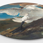 HIP ORGNL De bedreigde zwaan Side