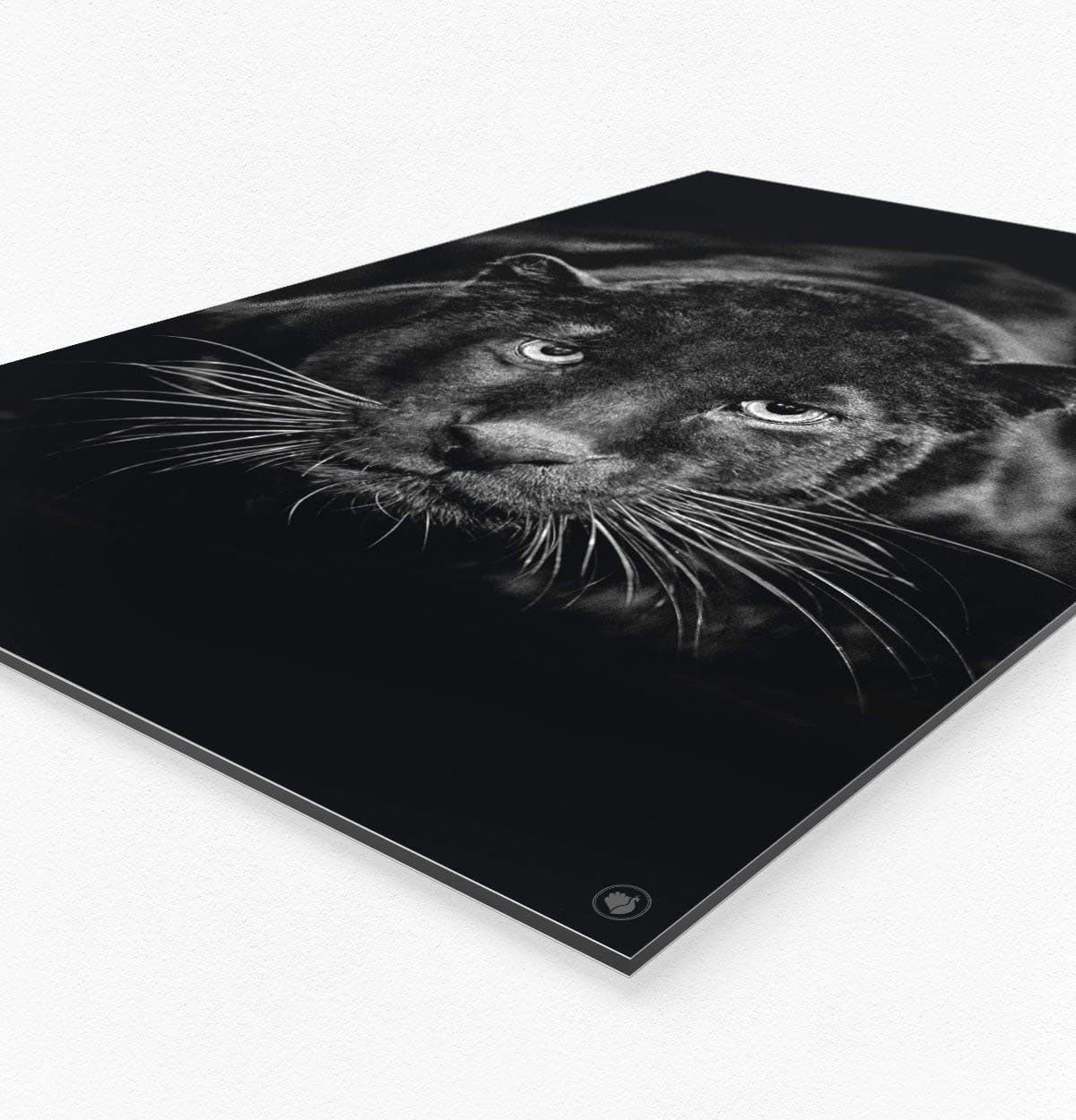 Vierkante wanddecoratie HIPORGNL_Animals_BlackPanther_Side