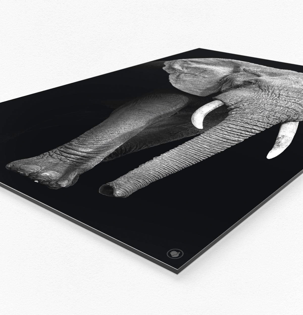 Vierkante wanddecoratie HIPORGNL_Animals_Elephant_Side