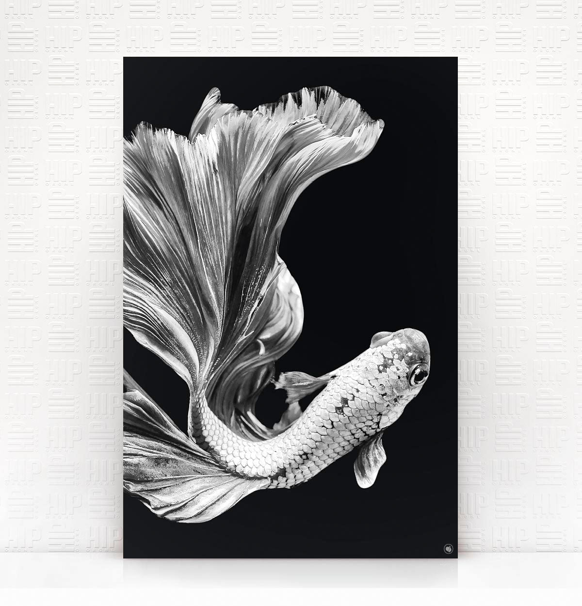 Wanddecoratie Schilderij Vis Dibond