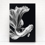 Wanddecoratie Schilderij Vis Dibond