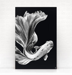 Wanddecoratie Schilderij Vis Dibond