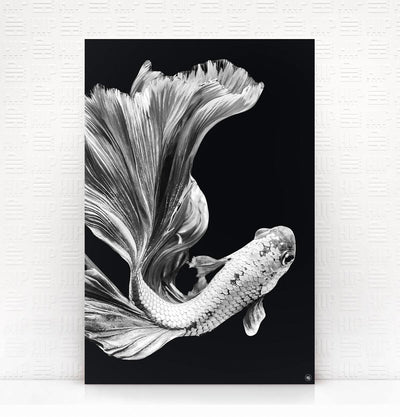 Wanddecoratie Schilderij Vis Dibond