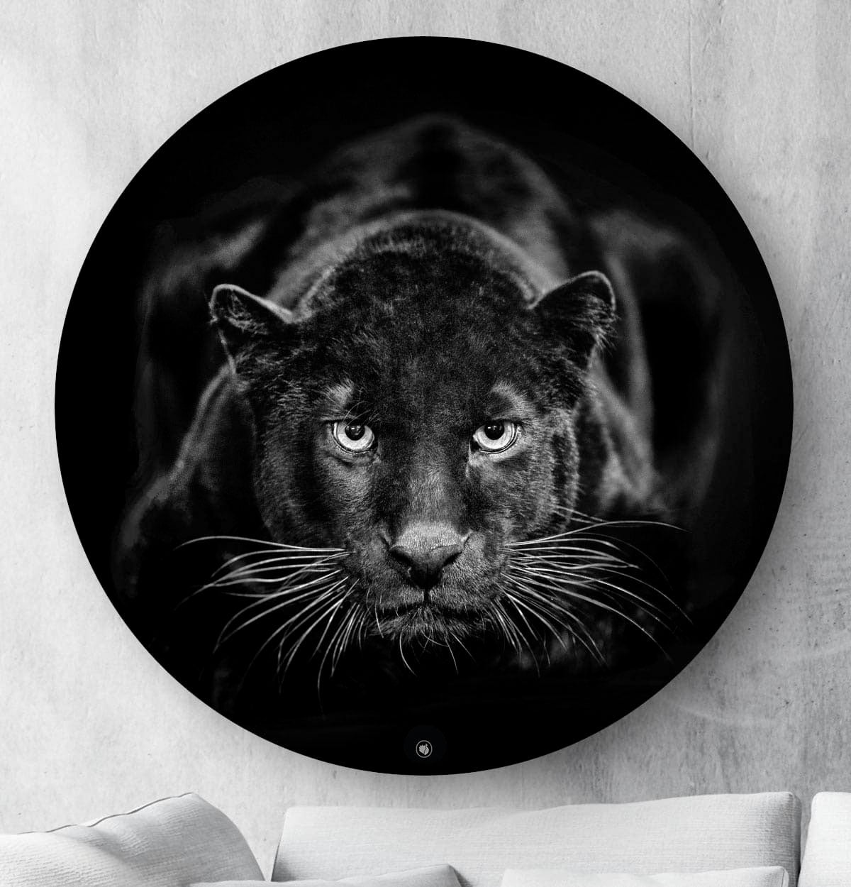 Wandcirkel HIPORGNL_Animals_Rond_BlackPanther_Front