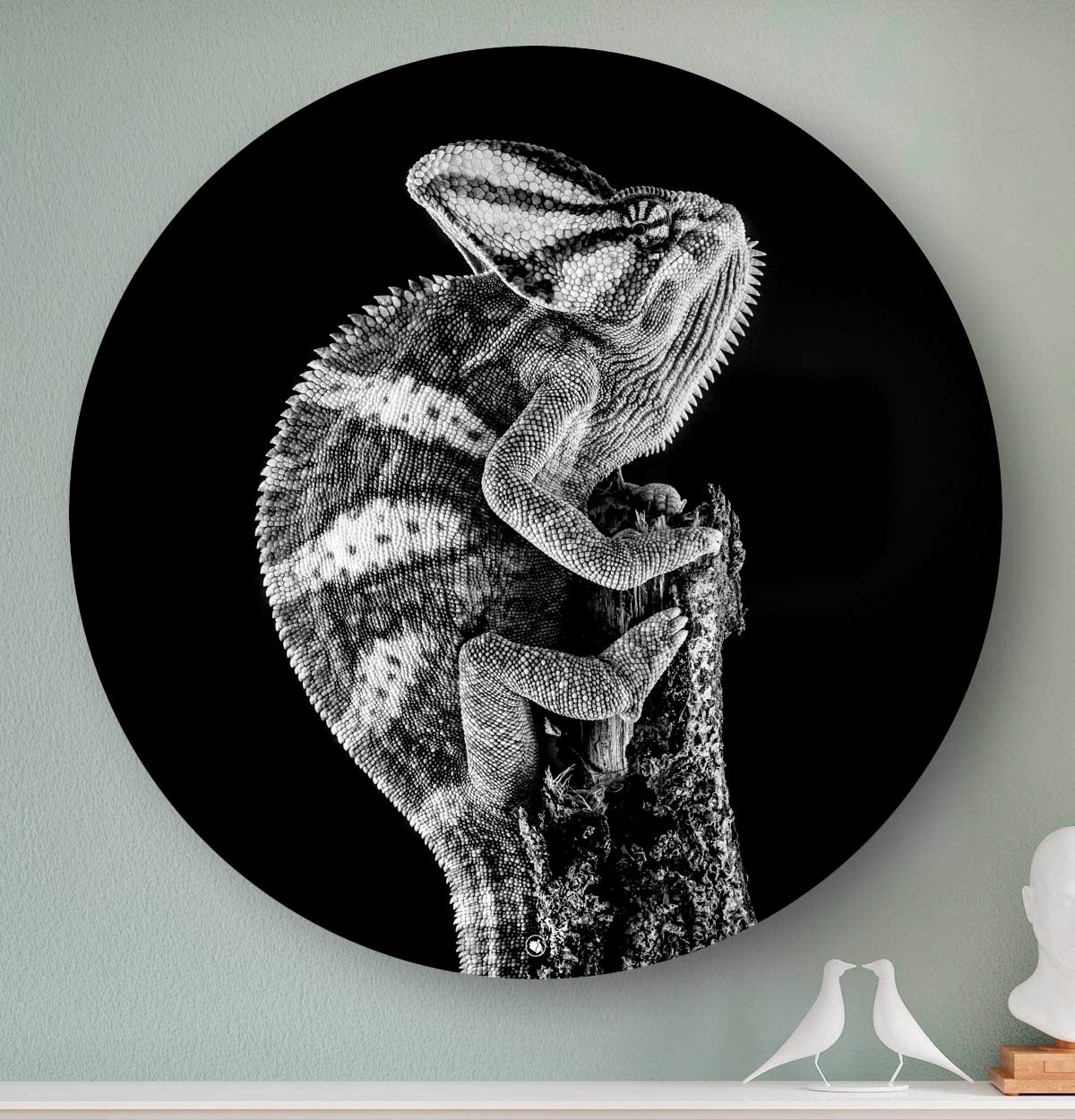 Wandcirkel HIPORGNL_Animals_Rond_Chameleon_Front