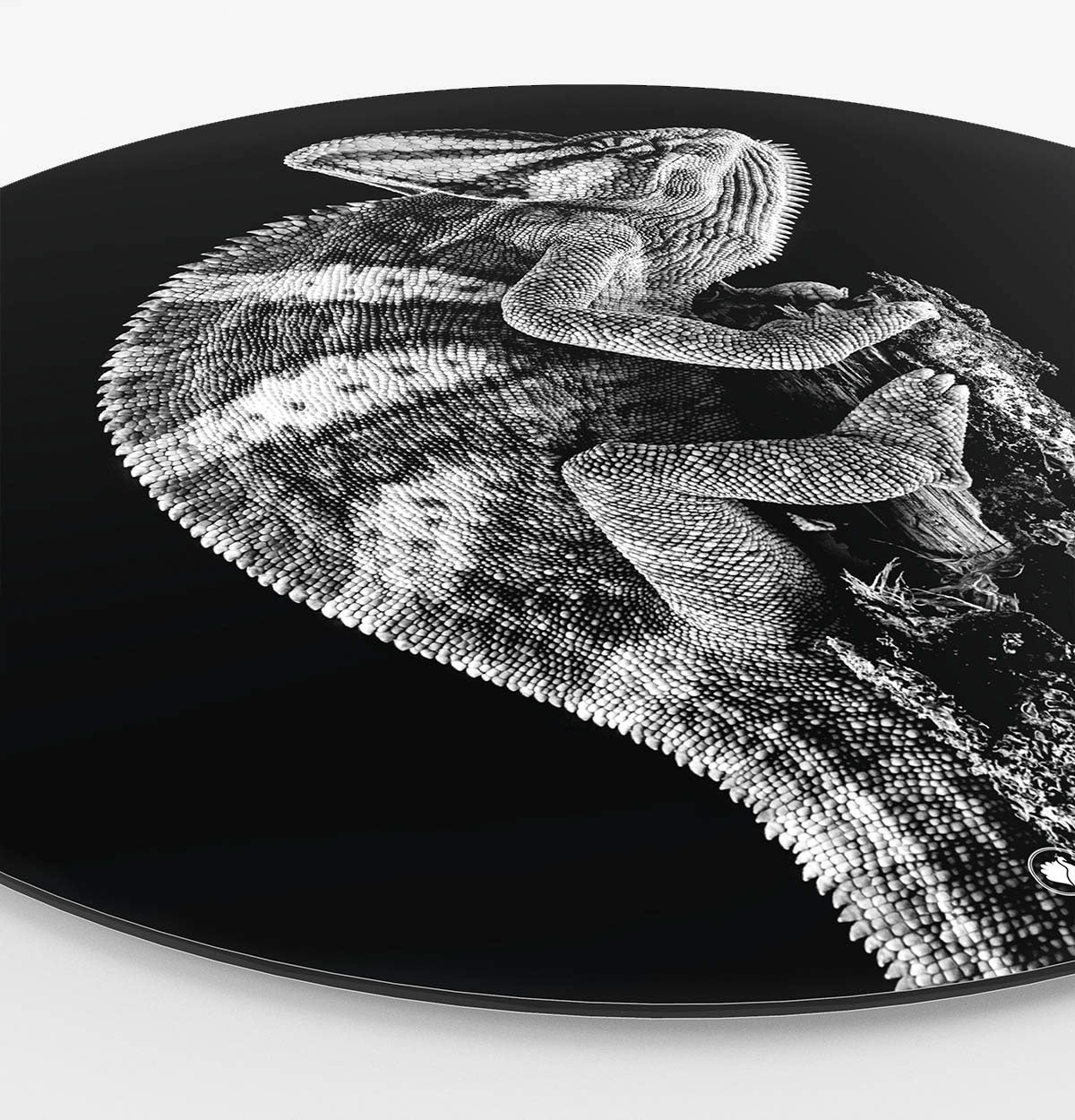 Wandcirkel HIPORGNL_Animals_Rond_Chameleon_Side