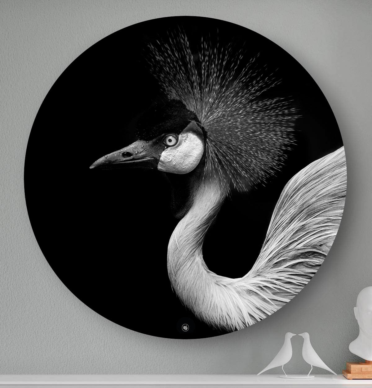 Wandcirkel HIPORGNL_Animals_Crownbird_Front
