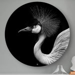 Wandcirkel HIPORGNL_Animals_Crownbird_Front