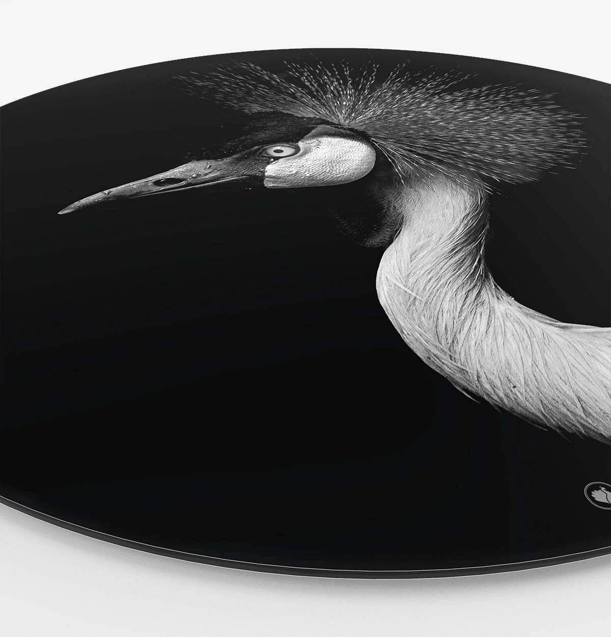 Wandcirkel HIPORGNL_Animals_Crownbird_Side
