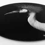 Wandcirkel HIPORGNL_Animals_Crownbird_Side