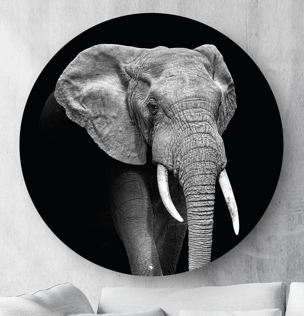 Wandcirkel HIPORGNL_Animals_Elephant_Front