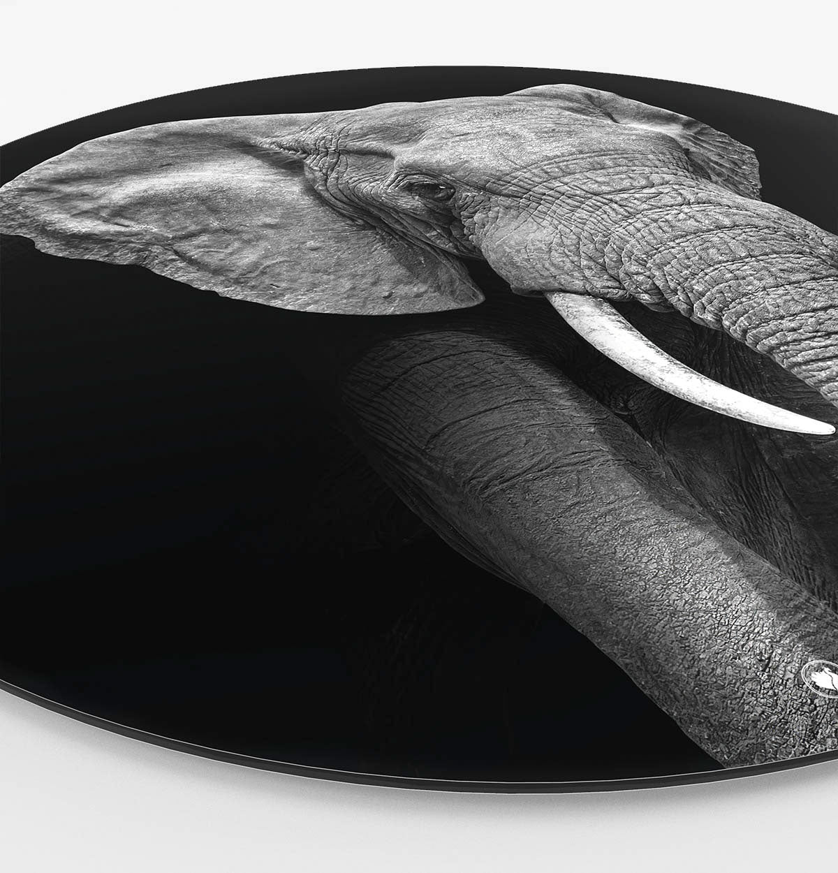 Wandcirkel HIPORGNL_Animals_Rond_Elephant_Side