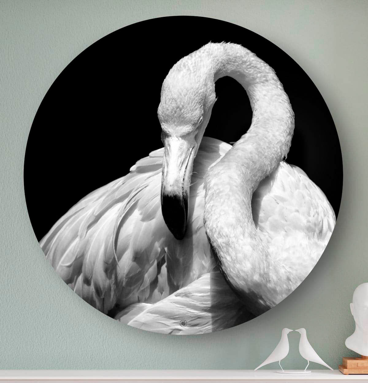Wandcirkel HIPORGNL_Animals_Rond_Flamingo_Front
