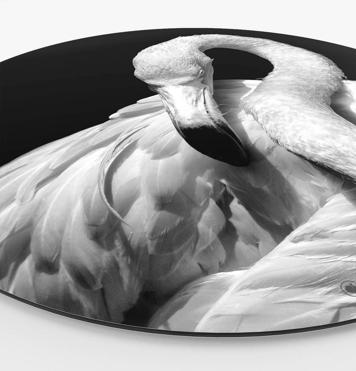 Wandcirkel HIPORGNL_Animals_Rond_Flamingo_Side