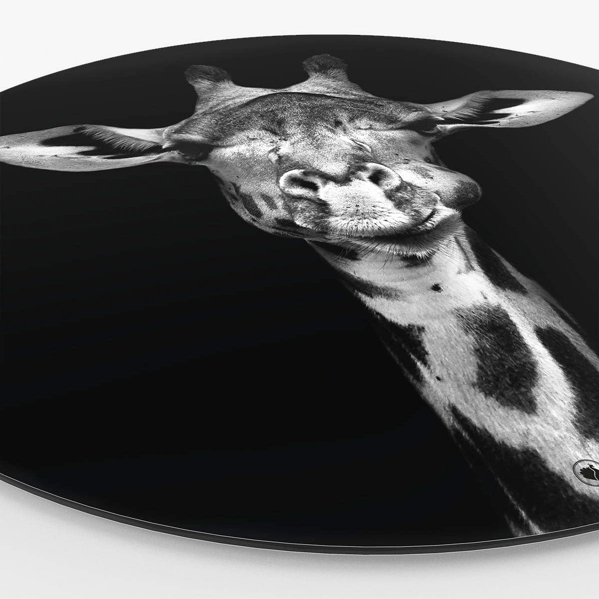Wandcirkel HIPORGNL_Animals_Rond_Giraf_Side