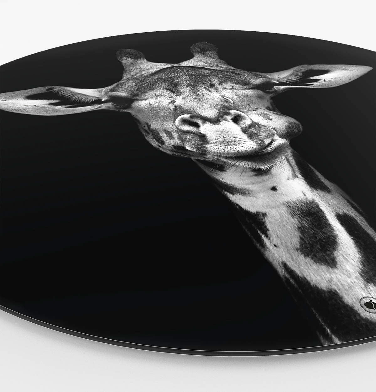Wandcirkel HIPORGNL_Animals_Rond_Giraf_Side