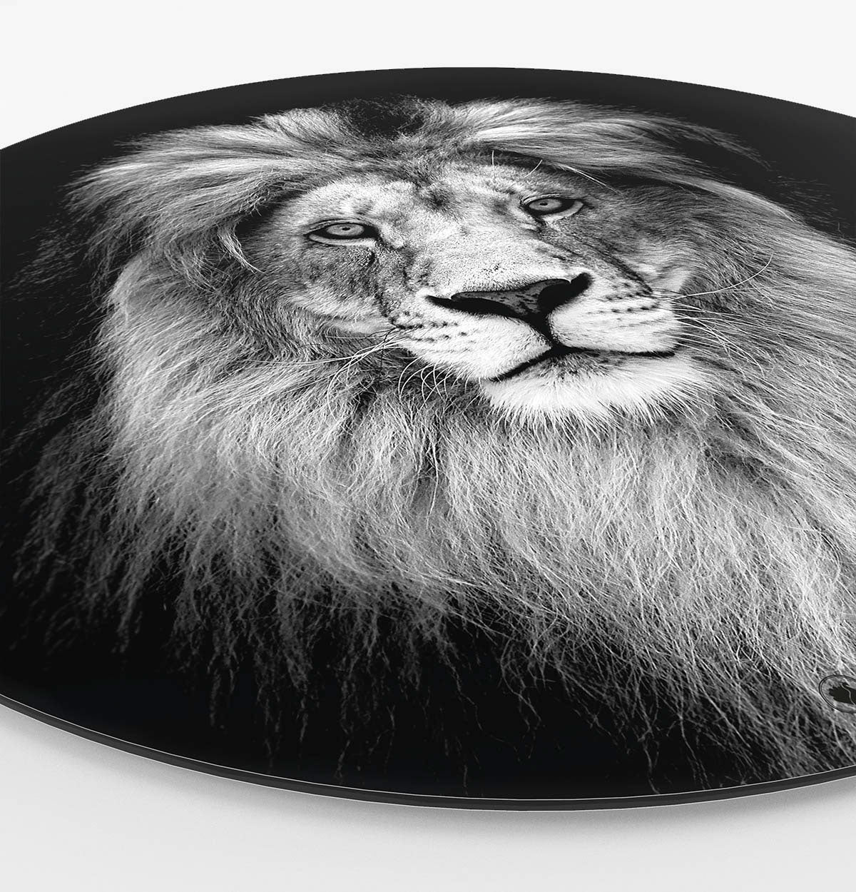 Wandcirkel HIPORGNL_Animals_Rond_Lion_Side