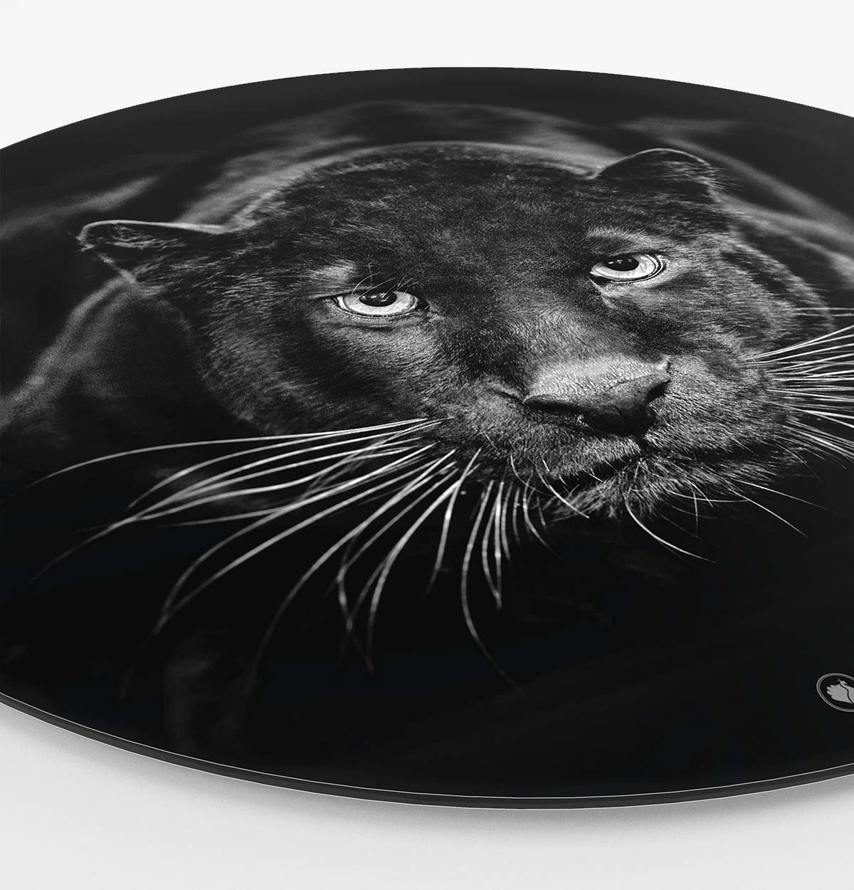 Wandcirkel HIPORGNL_Animals_Rond_Panther_Side