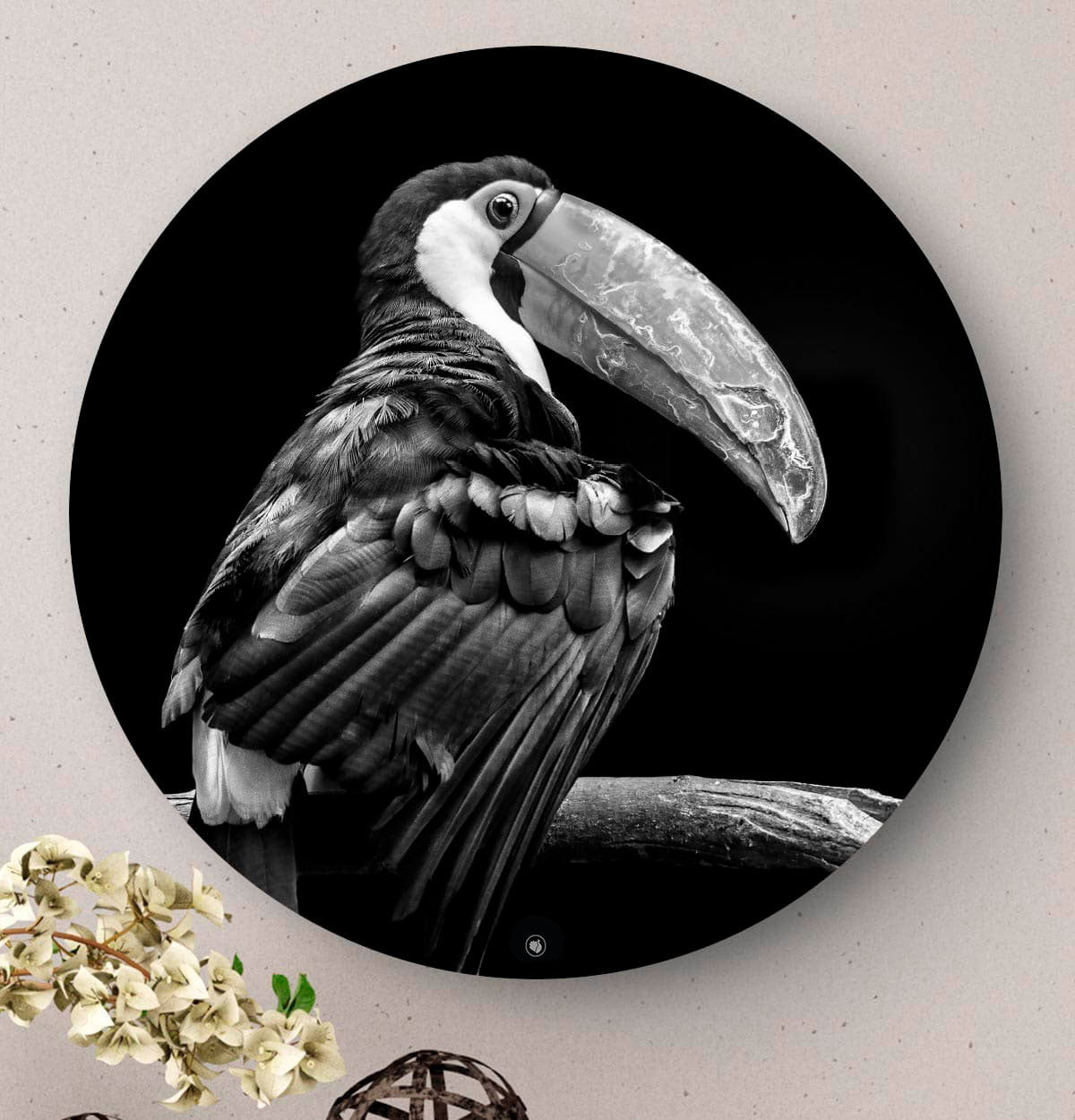 Wandcirkel HIPORGNL_Animals_Rond_Tucan_Front