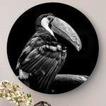 Wandcirkel HIPORGNL_Animals_Rond_Tucan_Front