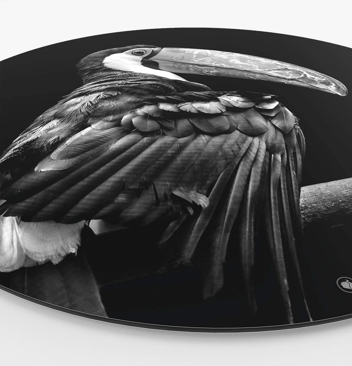 Wandcirkel HIPORGNL_Animals_Rond_Tucan_Side