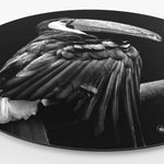 Wandcirkel HIPORGNL_Animals_Rond_Tucan_Side