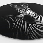 Wandcirkel HIPORGNL_Animals_Rond_Zebra_Side