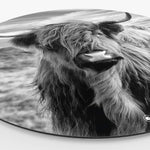HIPORGNL_Animals_SchotseHooglander_Side