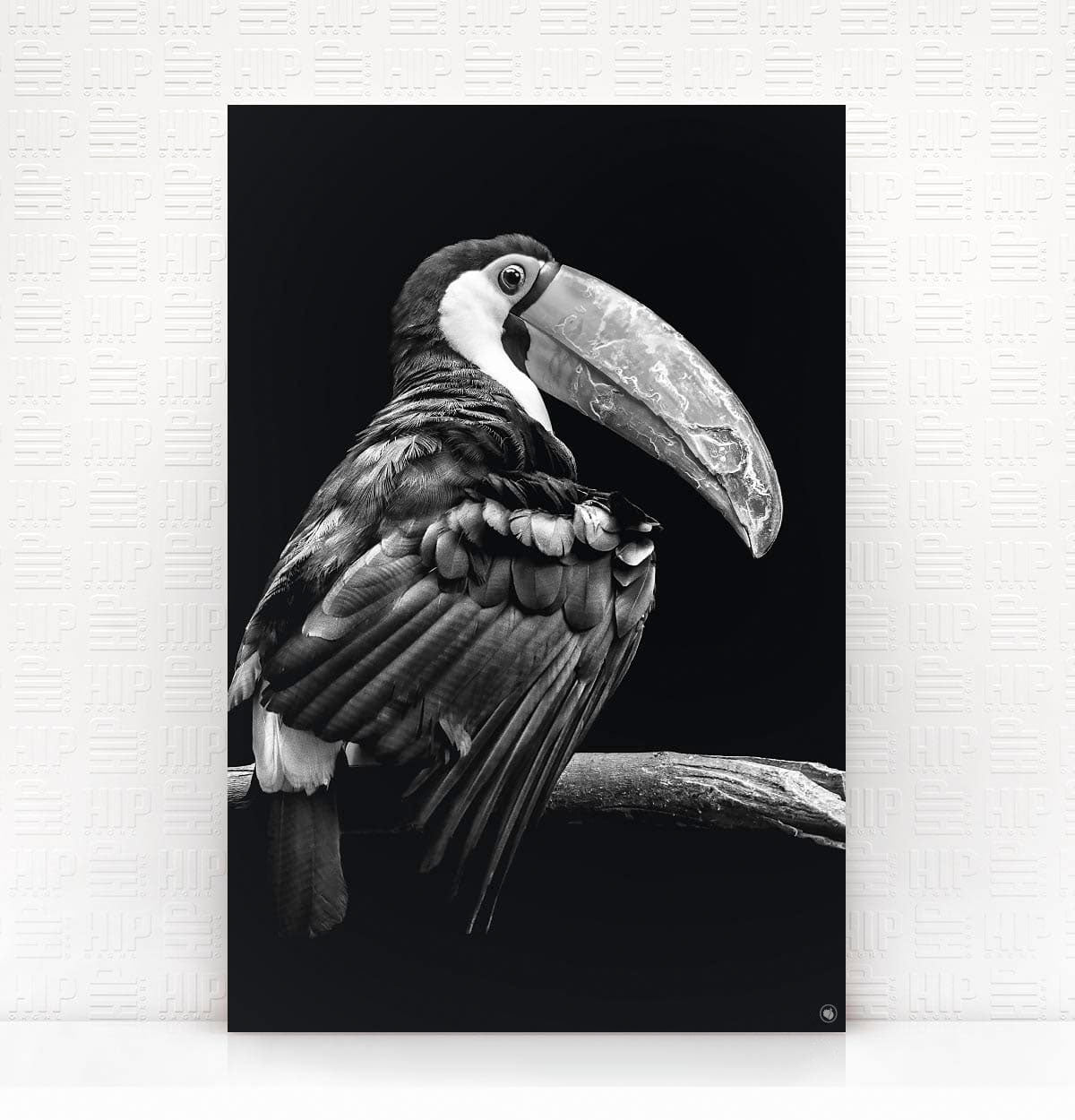 Wanddecoratie Schilderij Toekan Dibond