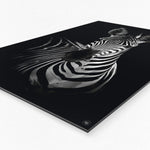 Wanddecoratie Schilderij Zebra