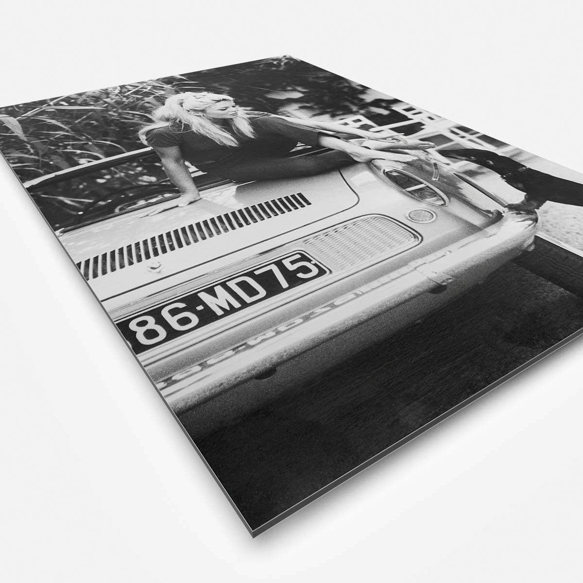 Vierkante wanddecoratie van Brigitte Bardot met een hond afgebeeld.