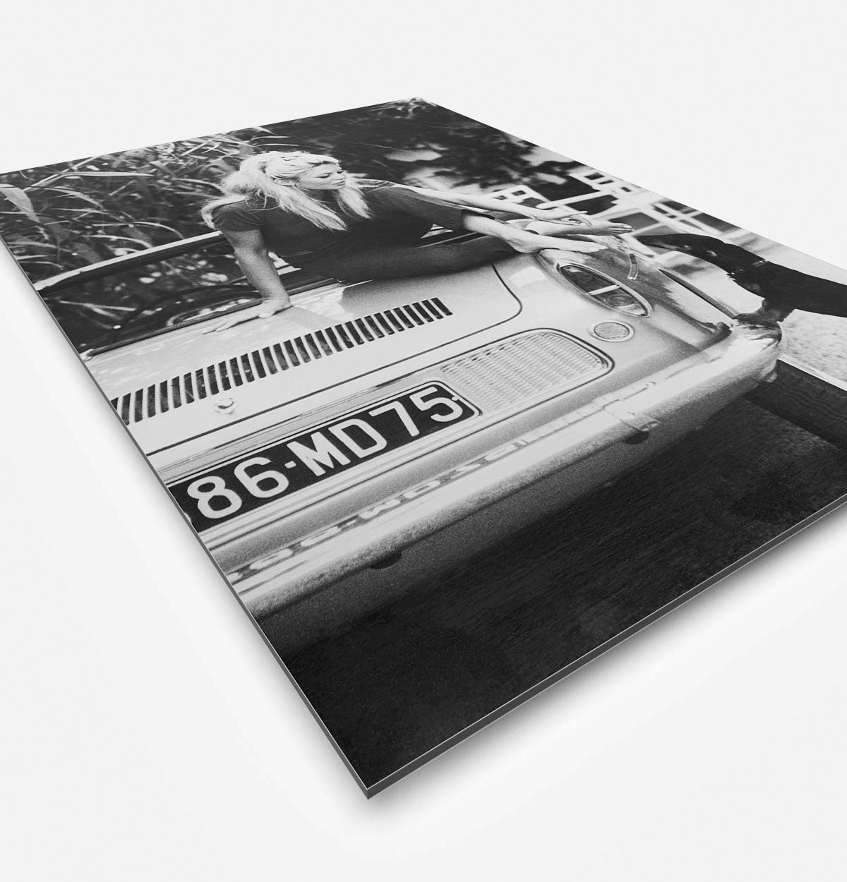 Vierkante wanddecoratie van Brigitte Bardot met een hond afgebeeld.