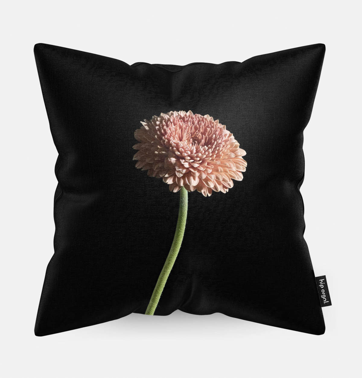 Sierkussen met een bloem erop met een zwarte achtergrond