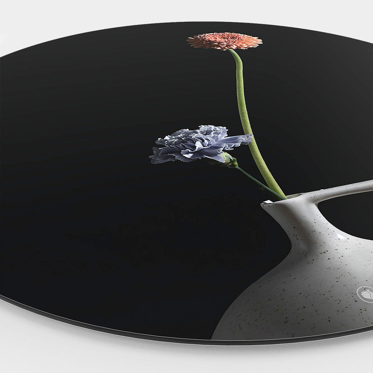 Muurcirkel met een wit vaasje met twee bloemen een donkere achtergrond