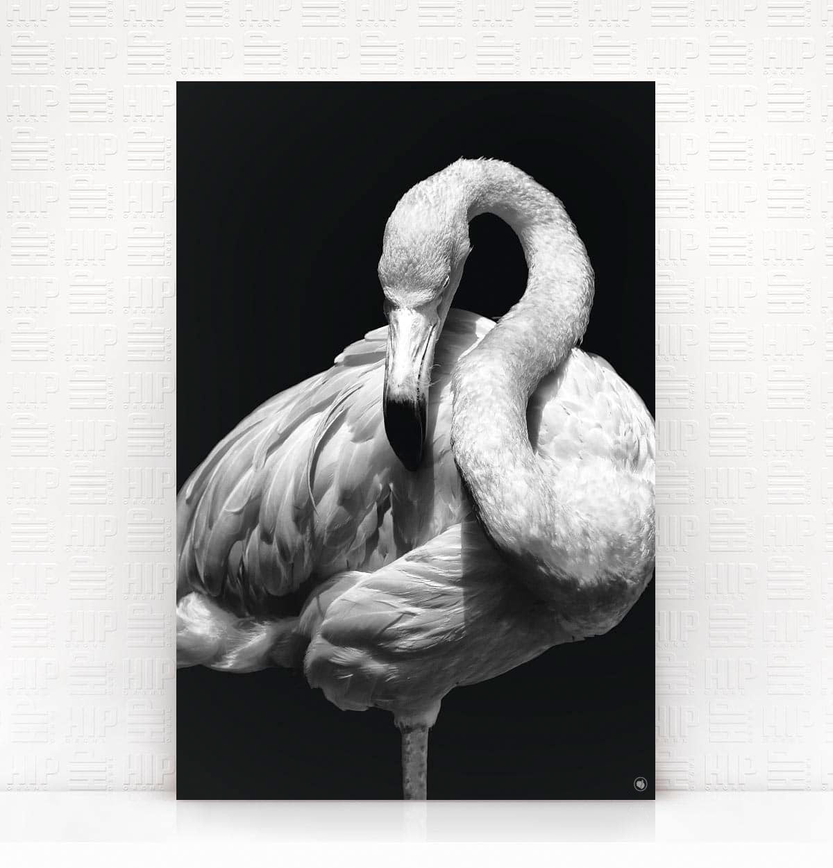 Wanddecoratie Schilderij Flamingo Dibond