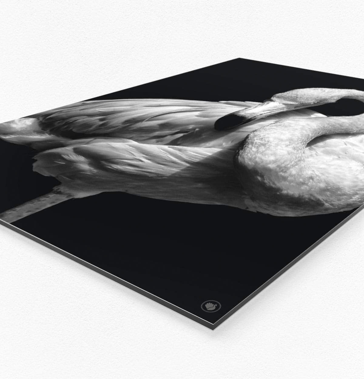 Wanddecoratie Schilderij Flamingo