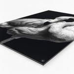 Wanddecoratie Schilderij Flamingo