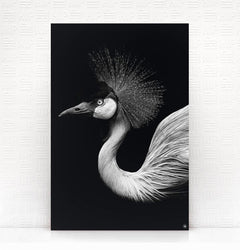 Wanddecoratie Schilderij Vogel Dibond