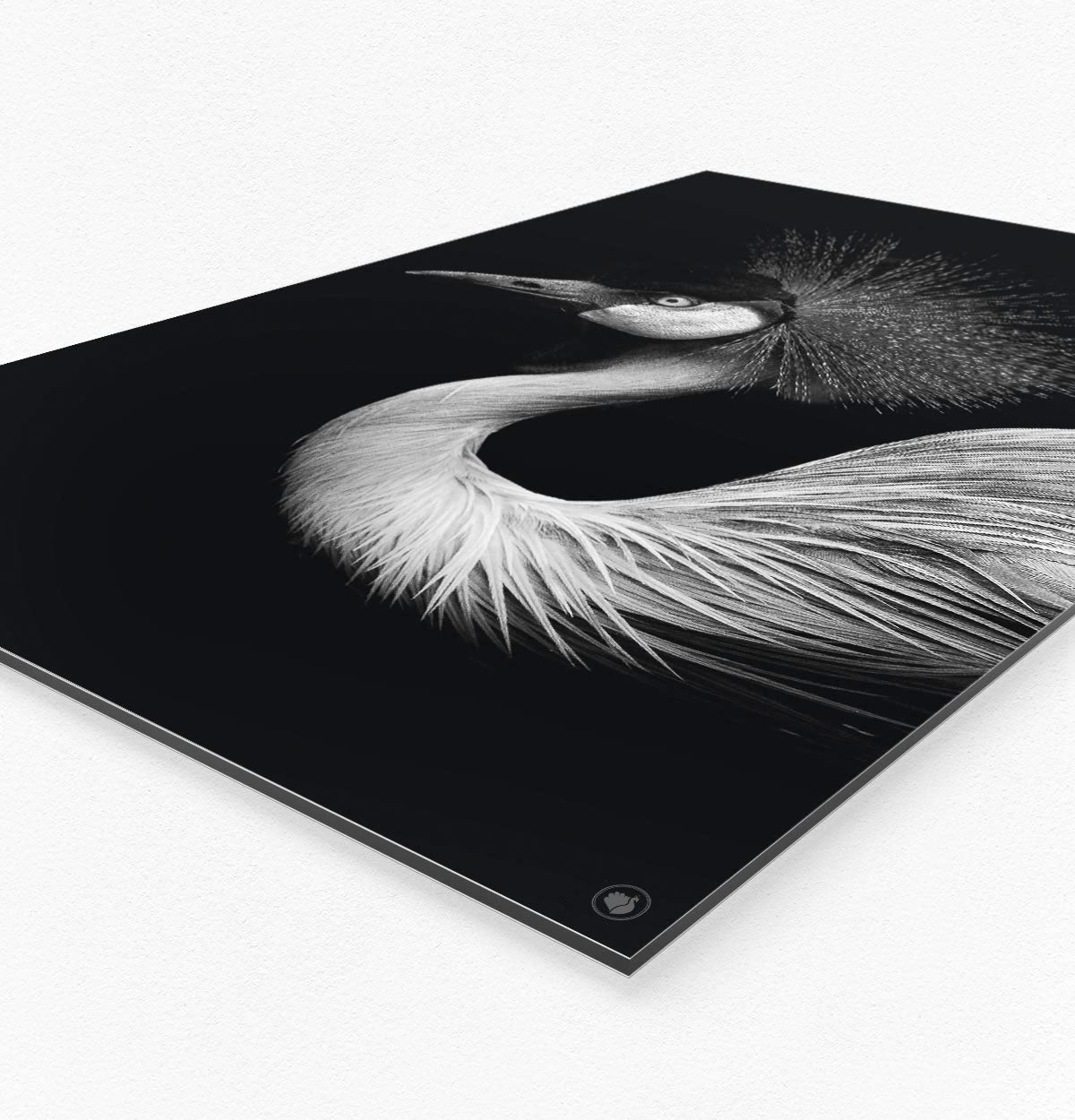 Wanddecoratie Schilderij Vogel