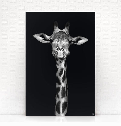 Wanddecoratie Schilderij Giraf