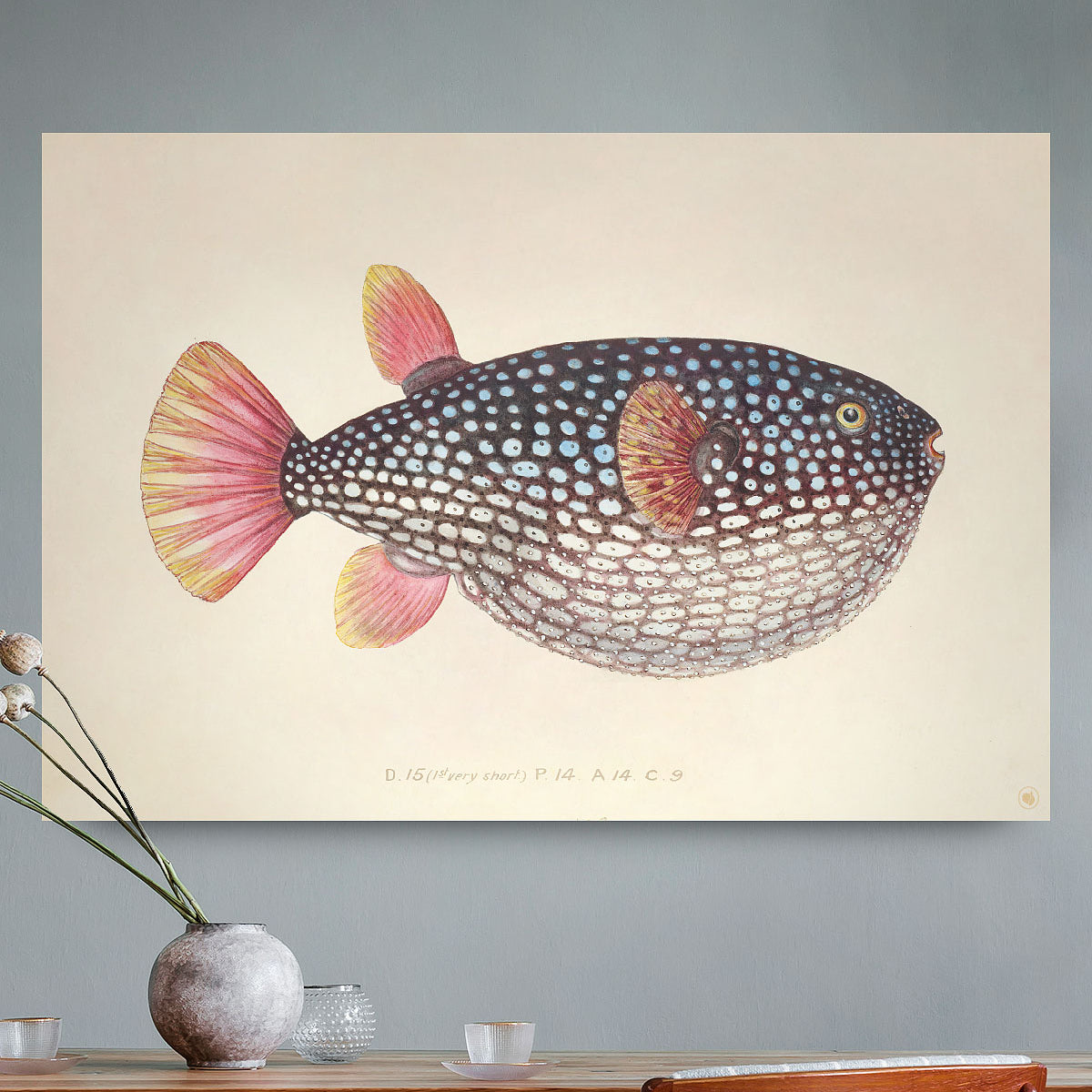 HIPORGNL_GlobeFish_Rechthoek_Front_REB