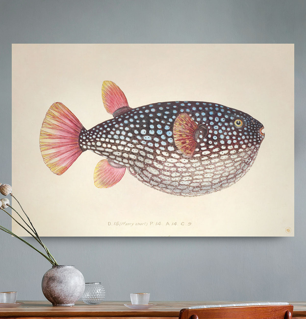HIPORGNL_GlobeFish_Rechthoek_Front_REB