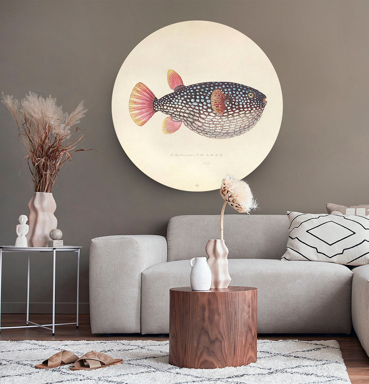 Wandcirkel met een vis tegen een grijze muur en een lichtgrijs bankstel ervoor