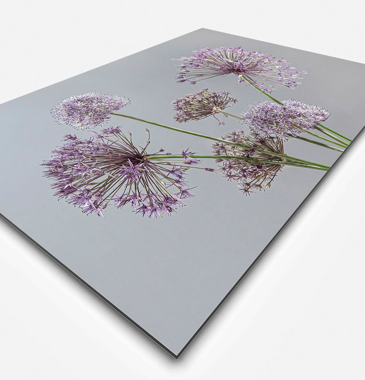 Schilderij met paarse bloemen en een grijze achtergrond
