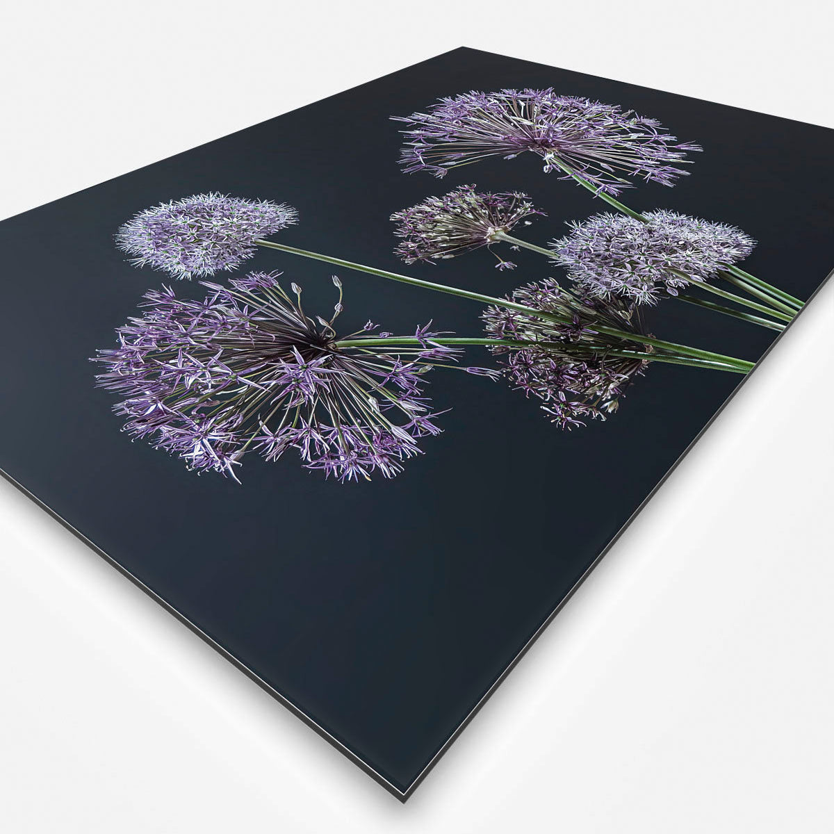 Schilderij met paarse bloemen en een zwarte achtergrond