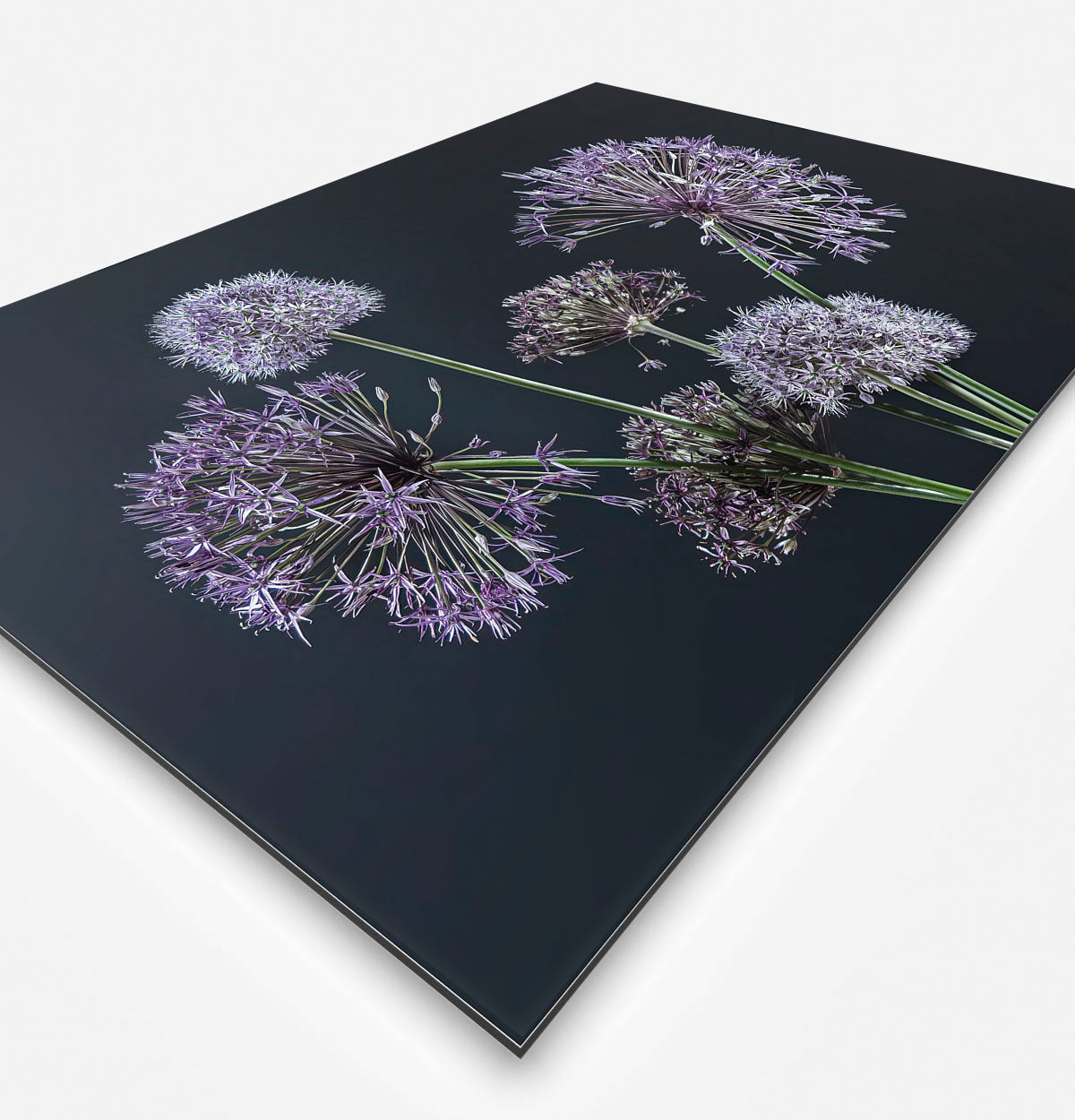 Schilderij met paarse bloemen en een zwarte achtergrond